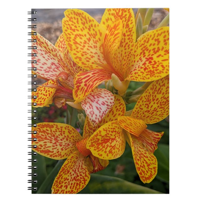 Carnet Yellow Canna Lily with Red Speckles Floral (Devant)