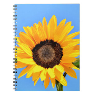Carnet Yellow Sunflower Against Sun on Blue Sky - Summer