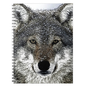 Carnet Yeux de loup