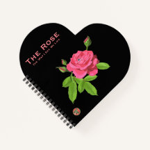 YNOTME LE ROSE