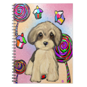Carnet Yorkie Poo