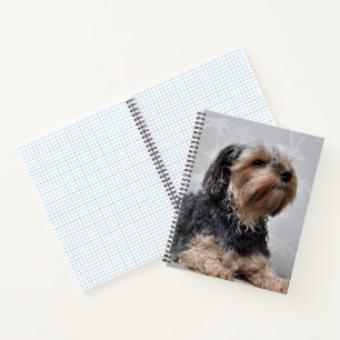 Carnet Yorkie Yorkshire Terrier mignon se prélassant au s