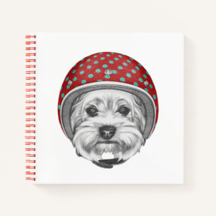 Carnet Yorkshire Terrier Daredevil