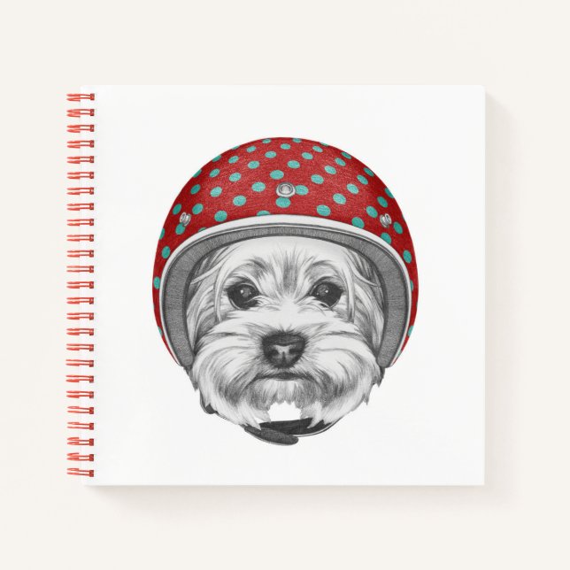 Carnet Yorkshire Terrier Daredevil (Devant)