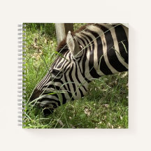 Carnet Zebra
