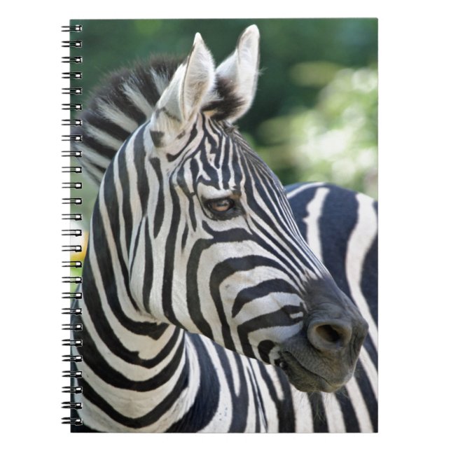 Carnet Zebra 001 (Devant)
