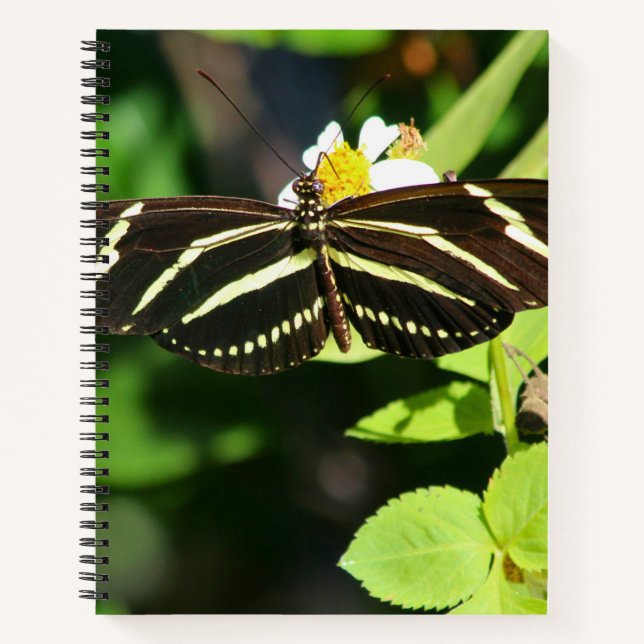 Carnet Zebra Longwing Butterfly Spiral Notebook (Devant)
