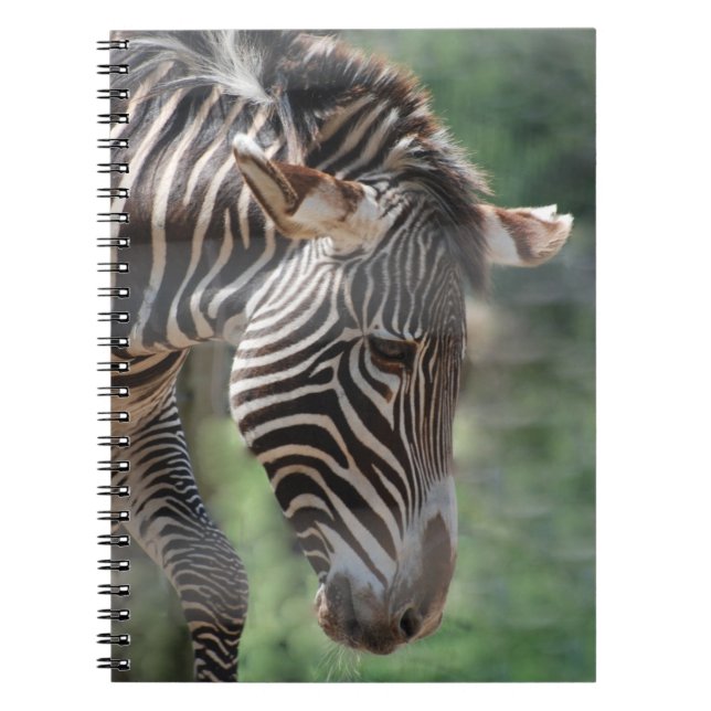Carnet Zèbre aimable (Devant)