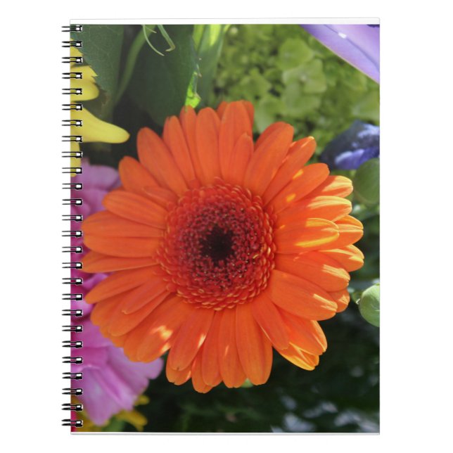 Carnet Zinnia (Devant)