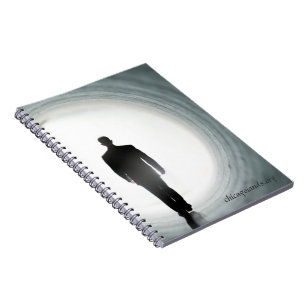 Carnets de Chicago IANDS