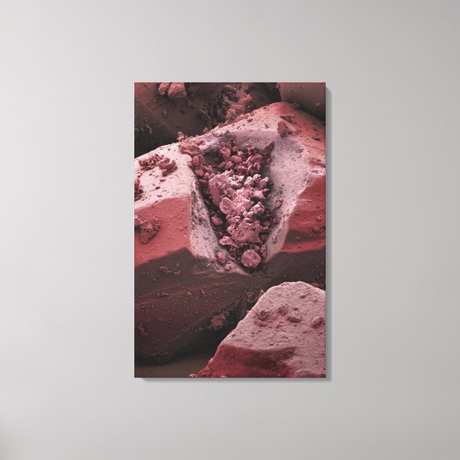 Carnitine Canvas Print (Front)