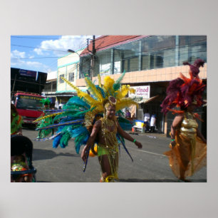 Carnival in Trinidad 2010 Poster