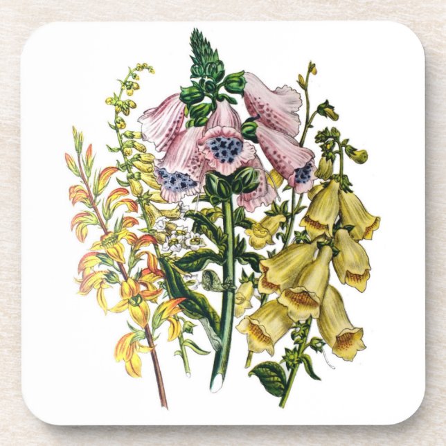 Carnival of flowers coaster (Front)