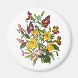 Carnival of flowers magnet