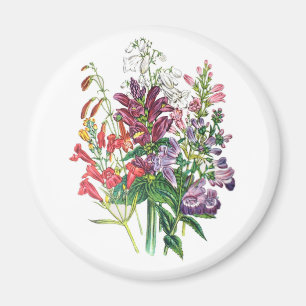 Carnival of flowers magnet