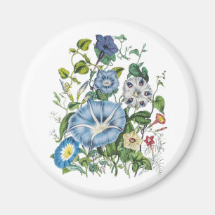 Carnival of flowers magnet
