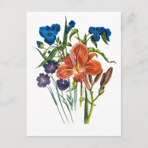 Carnival of flowers postcard