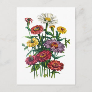 Carnival of flowers postcard