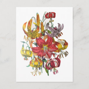 Carnival of flowers postcard