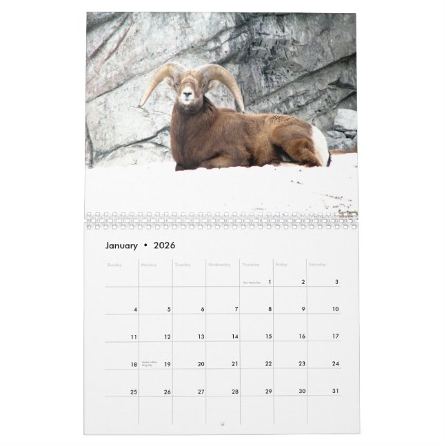 Carnival of the Animals 2010 Calendar (Jan 2026)