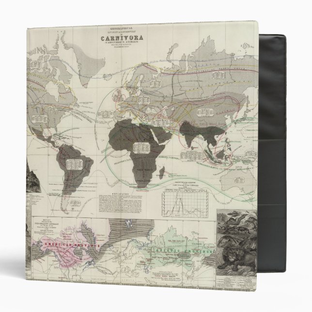 Carnivora Binder (Front/Inside)