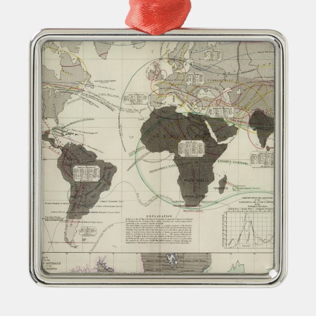 Carnivora Metal Ornament (Front)