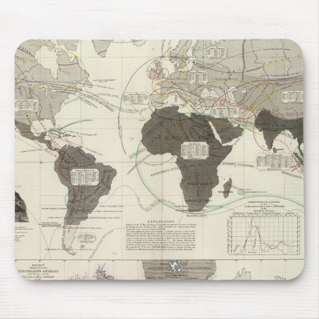 Carnivora Mouse Pad (Front)