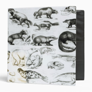 Carnivorous Animals Binder
