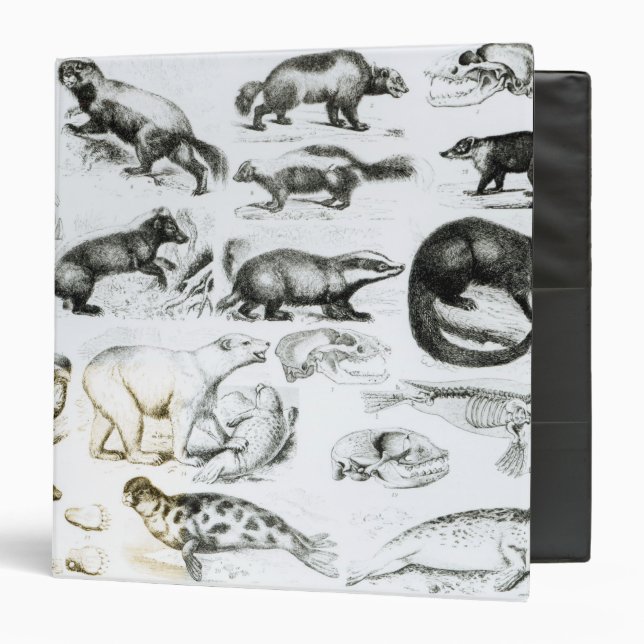 Carnivorous Animals Binder (Front/Inside)