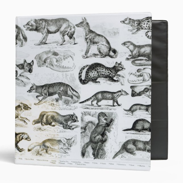 Carnivorous Animals Binder (Front/Inside)
