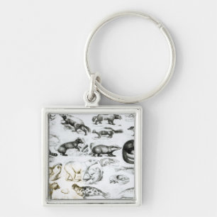 Carnivorous Animals Keychain