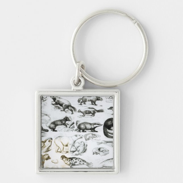 Carnivorous Animals Keychain (Front)