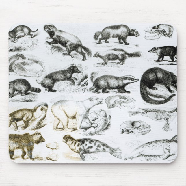 Carnivorous Animals Mouse Pad (Front)