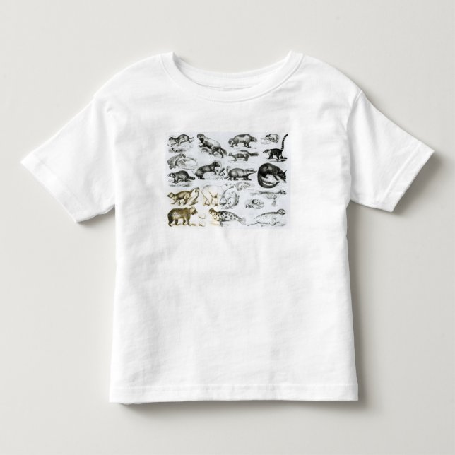 Carnivorous Animals Toddler T-shirt (Front)