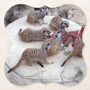 Carnivorous Meerkats Having Ribs For Tea, Paper Coaster