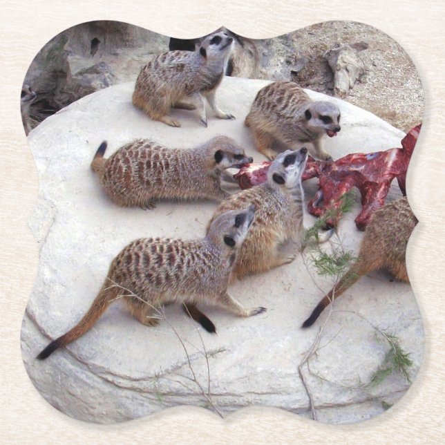 Carnivorous Meerkats Having Ribs For Tea, Paper Coaster (Front)