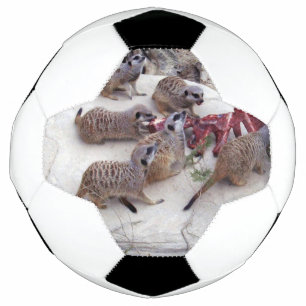 Carnivorous Meerkats Having Ribs For Tea, Soccer Ball