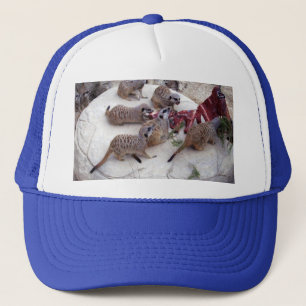 Carnivorous Meerkats Having Ribs For Tea, Trucker Hat