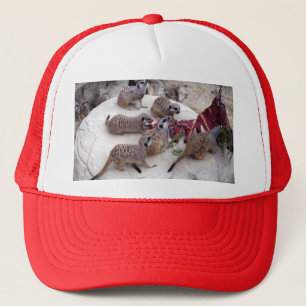 Carnivorous Meerkats Having Ribs For Tea, Trucker Hat
