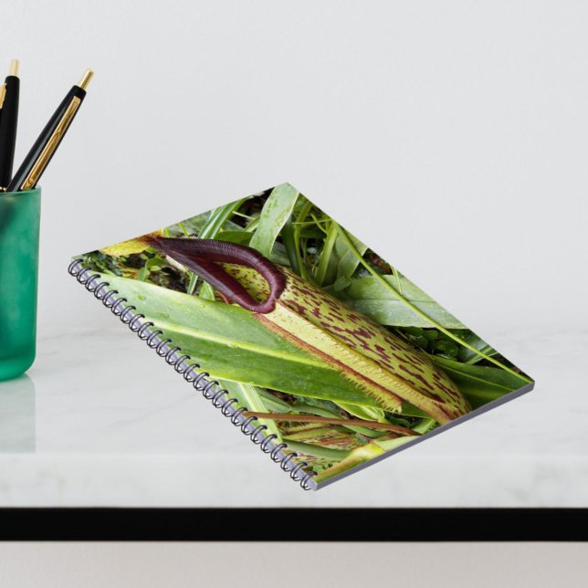 Carnivorous Pitcher Plant Botanical Notebook (In Situ)