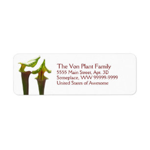 Carnivorous Pitcher Plants