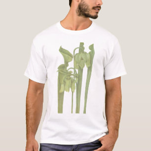 Carnivorous Plant - Sarracenia flava T-Shirt