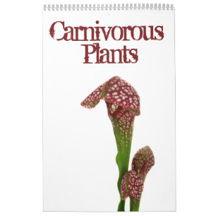 Carnivorous Plants Calendar