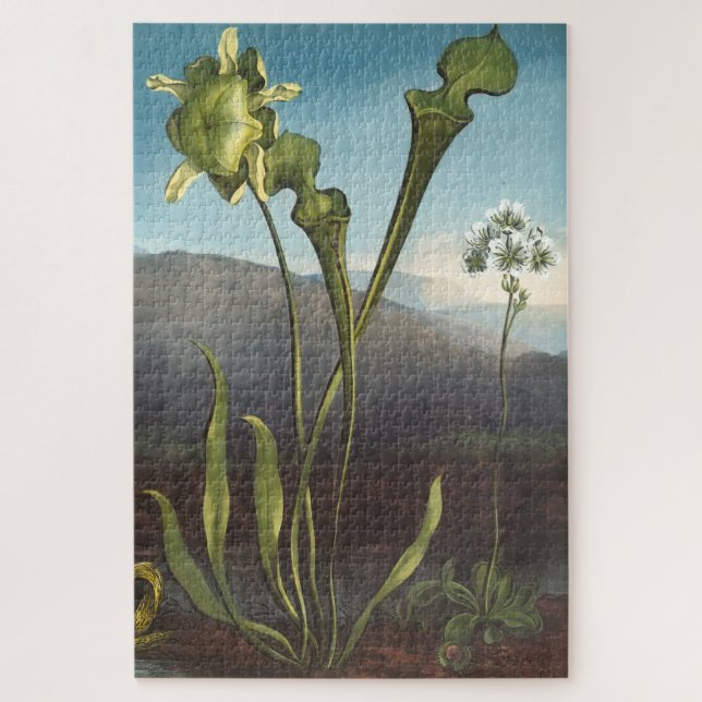 Carnivorous Plants Puzzle (Vertical)