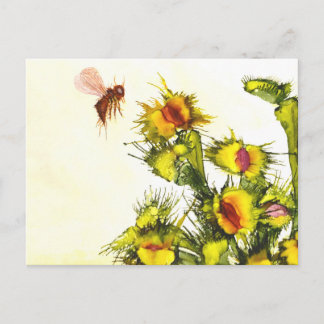 "Carnivorous" postcard