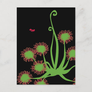 Carnivorous Sundew Plant Postcard