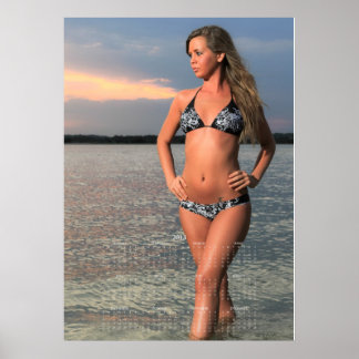 Carolina Beautés côtières : 2013 Calendrier Poster