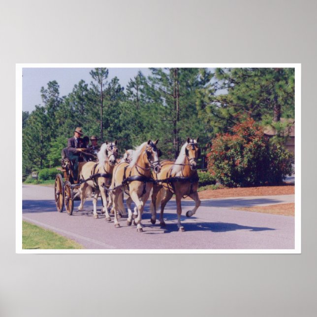 CAROLINA  CARRIAGE POSTER (Front)