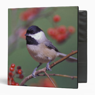 Carolina Chickadee Binder