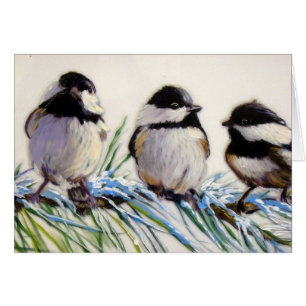 Carolina chickadee birds